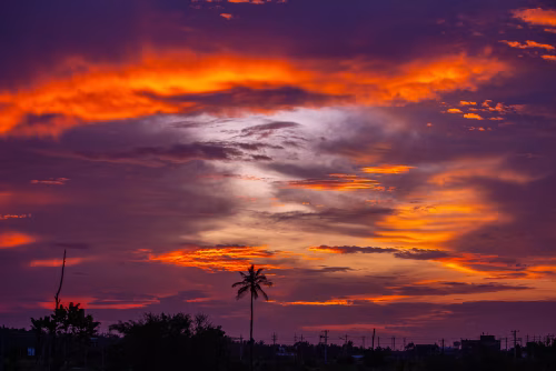 Vibrant Sunset Over Silhouetted Landscape With Palm Tree and Cloudy Sky at Dusk