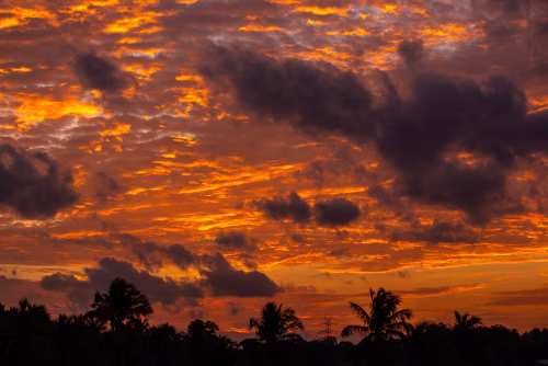 Vibrant Sunset Sky Over Silhouetted Palm Trees With Dramatic Clouds at Dusk Over Tropical Horizon