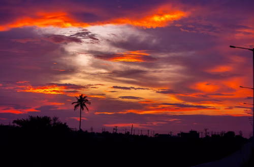 Vivid Sunset Over Silhouetted Palm Trees and City Horizon at Dusk with Beautiful Sky Colors