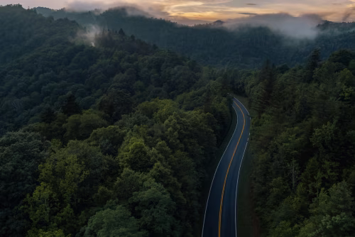 Winding Mountain Road Surrounded by Dense Forest at Sunrise