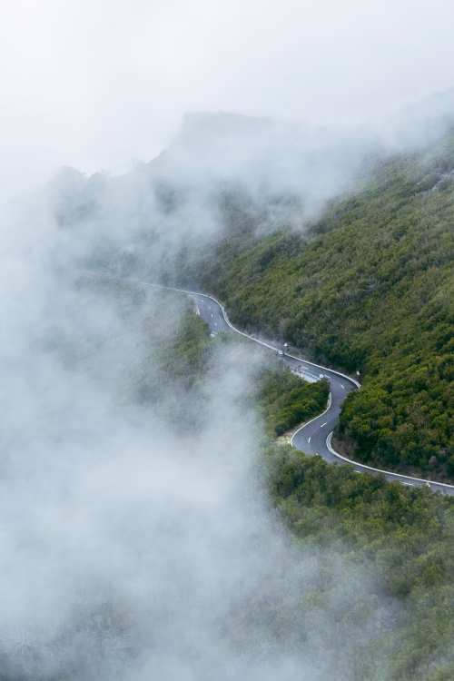 Winding Road Passing Through Verdant Hillside Covered by Mist in Serene Landscape